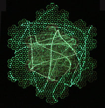 I Am Electric Glow in the Dark Unisex Tank Top includes FREE MINI BLACK LIGHT