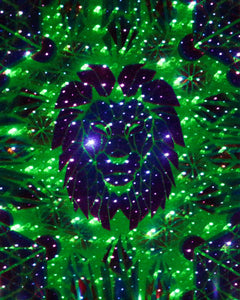 Hyphy Lion Glow in the Dark Original Canvas 11x14" INCLUDES (2) FREE Purple Laser Pointer w/ Starry Tip